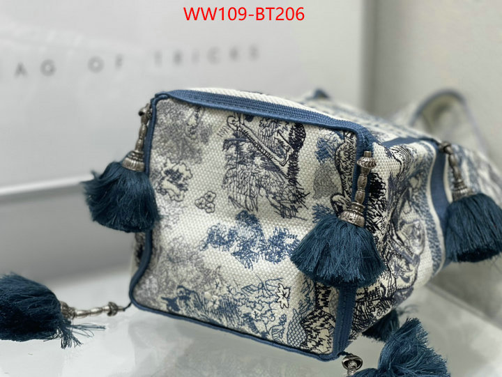 Dior Big Sale ID: BT206