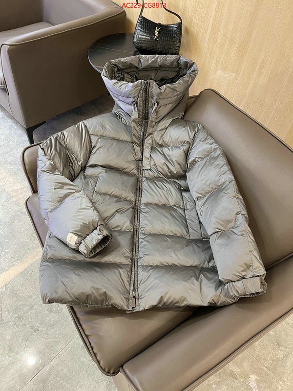 Down jacket Women-MaxMara top quality fake ID: CG8813 $: 229USD