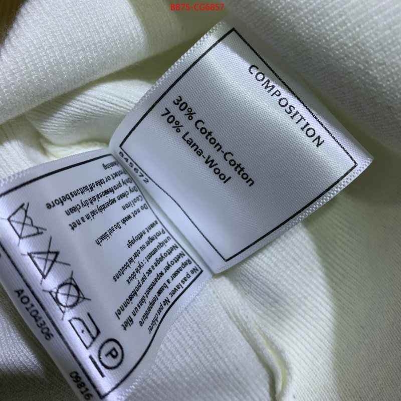 Clothing-Chanel 1:1 ID: CG6857 $: 75USD