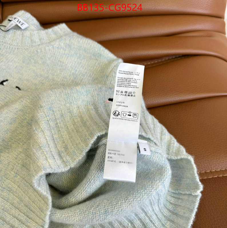 Clothing-Loewe luxury cheap replica ID: CG9524 $: 135USD