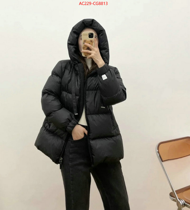 Down jacket Women-MaxMara top quality fake ID: CG8813 $: 229USD