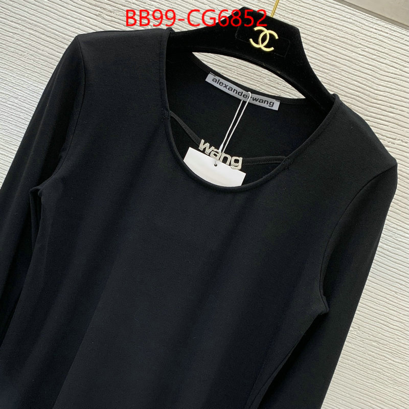 Clothing-Alexander Wang top quality replica ID: CG6852 $: 99USD