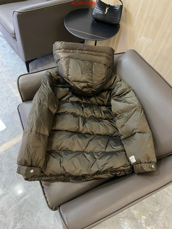 Down jacket Women-MaxMara top quality fake ID: CG8813 $: 229USD