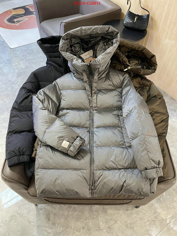 Down jacket Women-MaxMara top quality fake ID: CG8813 $: 229USD