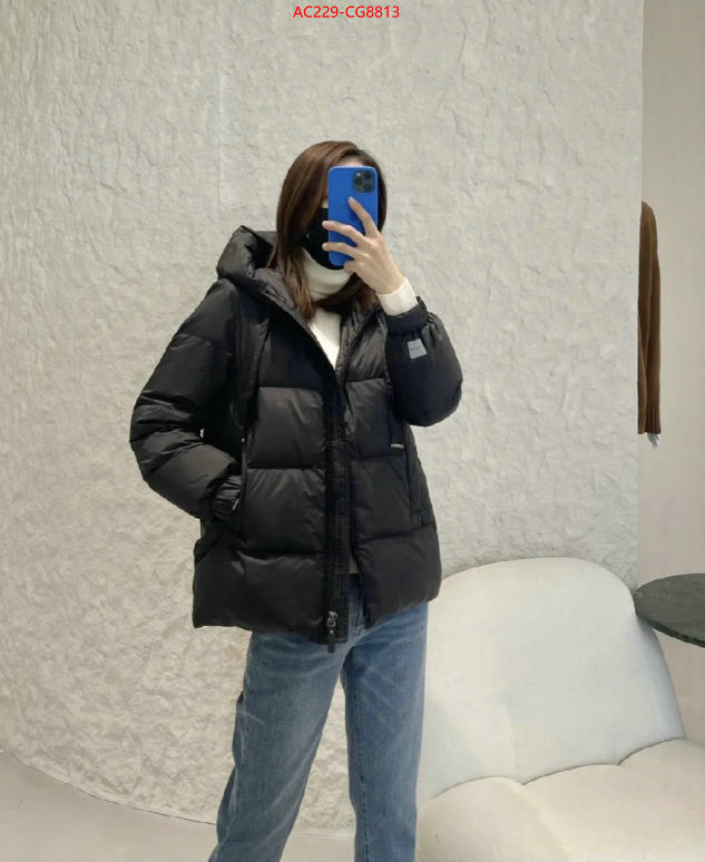 Down jacket Women-MaxMara top quality fake ID: CG8813 $: 229USD