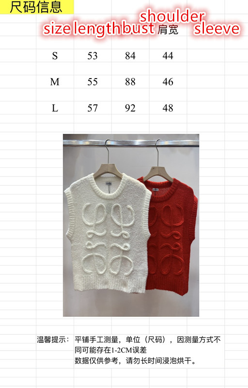 Clothing-Loewe only sell high-quality ID: CG9657 $: 85USD