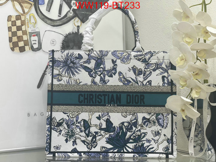 Dior Big Sale ID: BT233