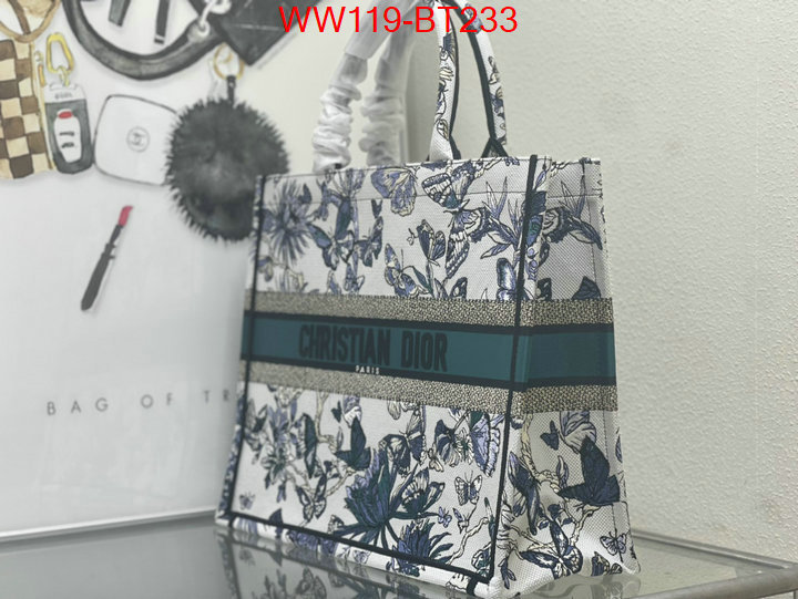 Dior Big Sale ID: BT233