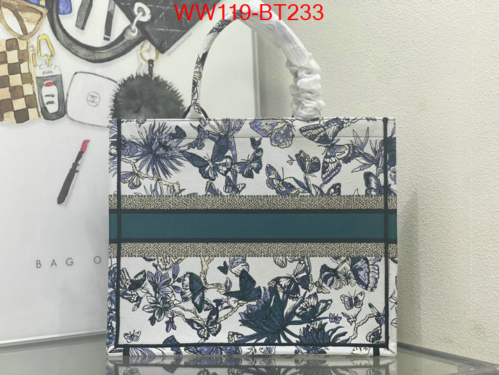 Dior Big Sale ID: BT233