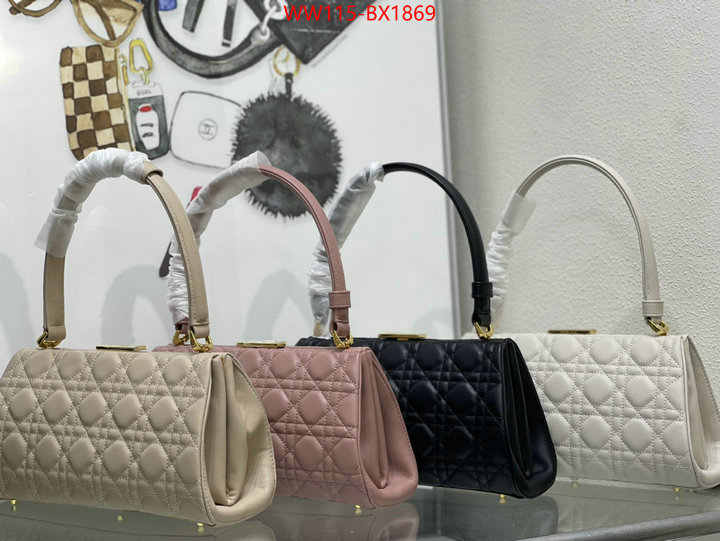 Dior Bags(4A)-Other Style- customize best quality replica ID: BX1869 $: 115USD,