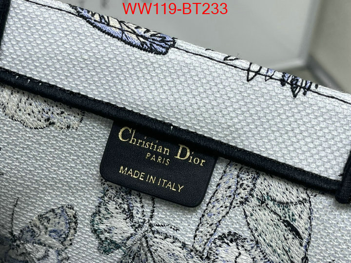 Dior Big Sale ID: BT233