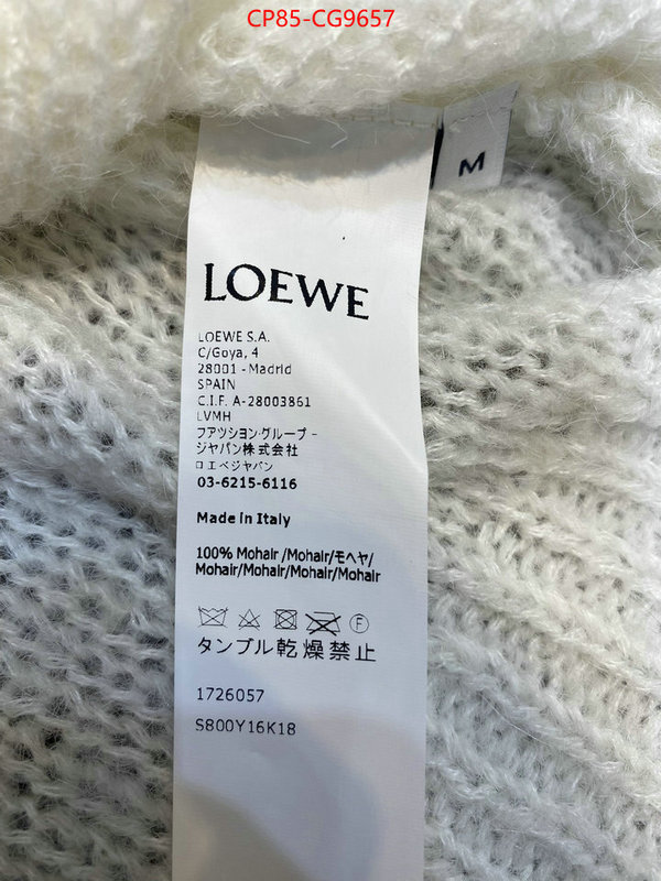 Clothing-Loewe only sell high-quality ID: CG9657 $: 85USD