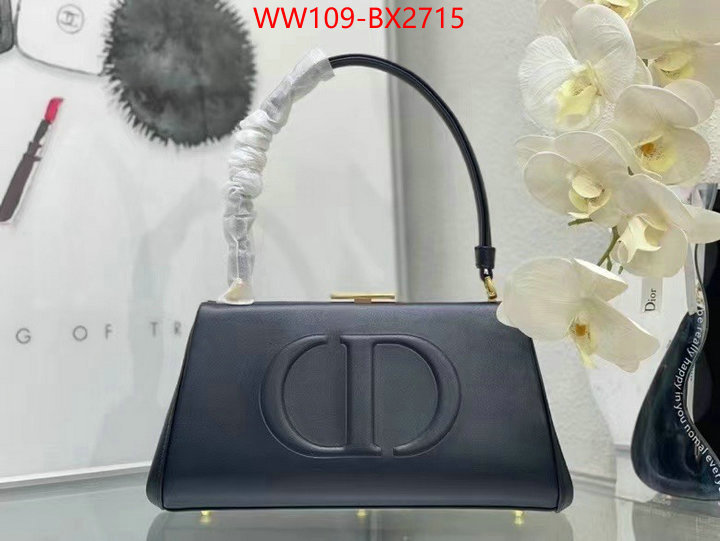 Dior Bags(4A)-Other Style- buy luxury 2023 ID: BX2715 $: 109USD,