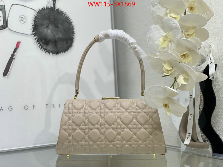 Dior Bags(4A)-Other Style- customize best quality replica ID: BX1869 $: 115USD,