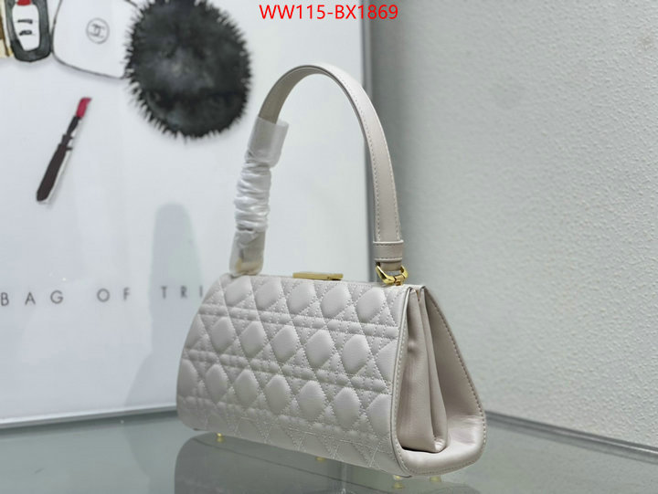 Dior Bags(4A)-Other Style- customize best quality replica ID: BX1869 $: 115USD,