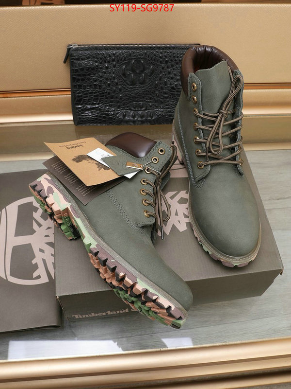 Men Shoes-Timberland the online shopping ID: SG9787 $: 119USD