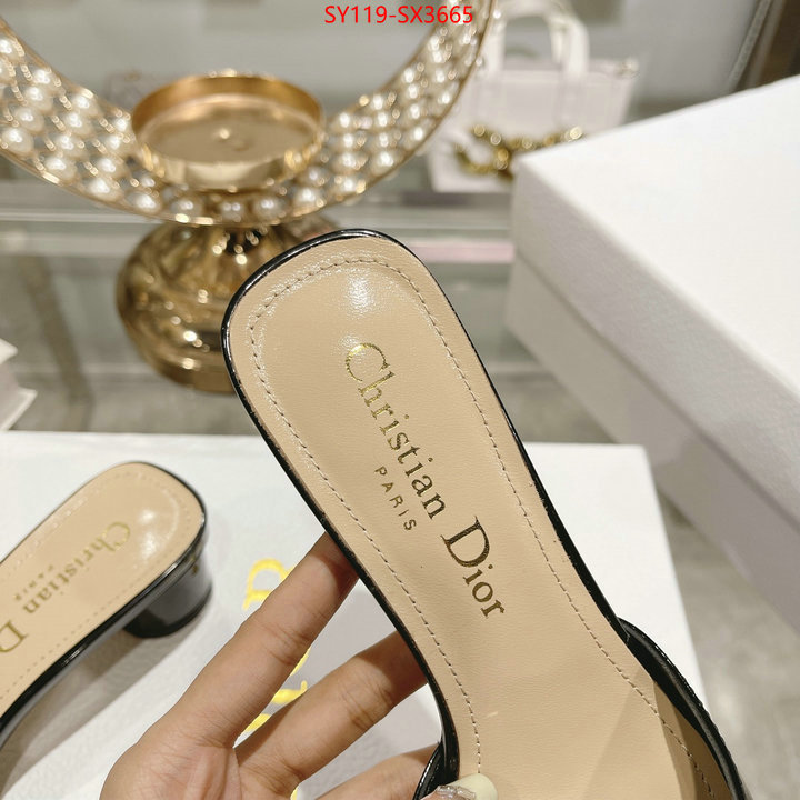 Women Shoes-Dior outlet sale store ID: SX3665 $: 119USD