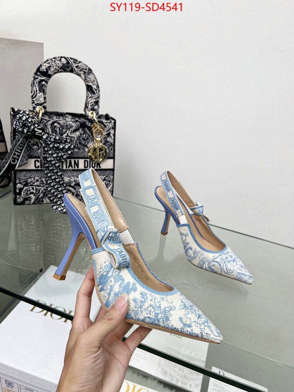 Women Shoes-Dior buy high-quality fake ID: SD4541 $: 119USD