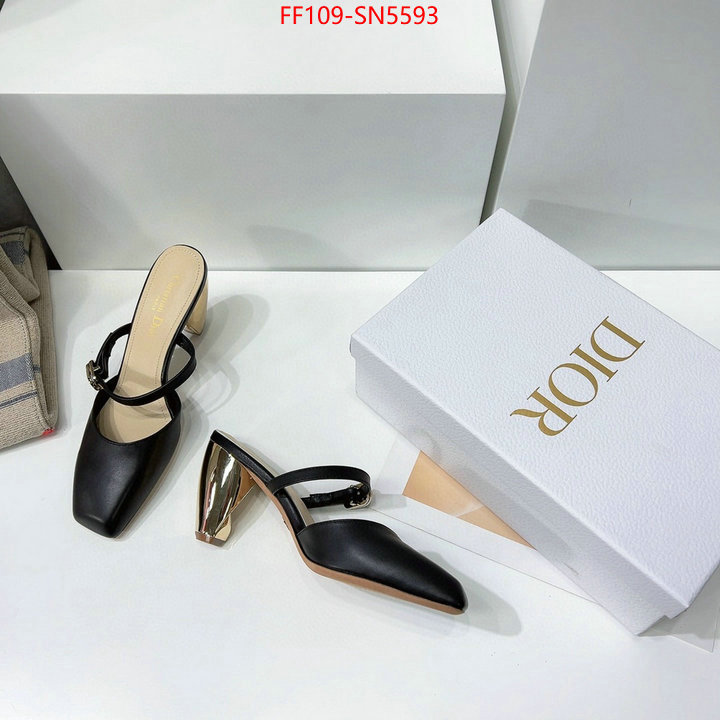 Women Shoes-Dior best quality replica ID: SN5593 $: 109USD