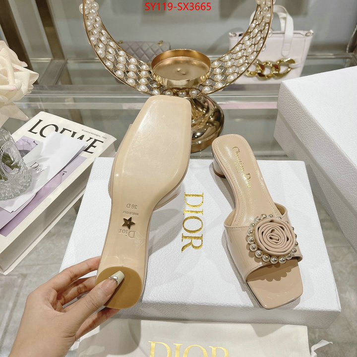 Women Shoes-Dior outlet sale store ID: SX3665 $: 119USD