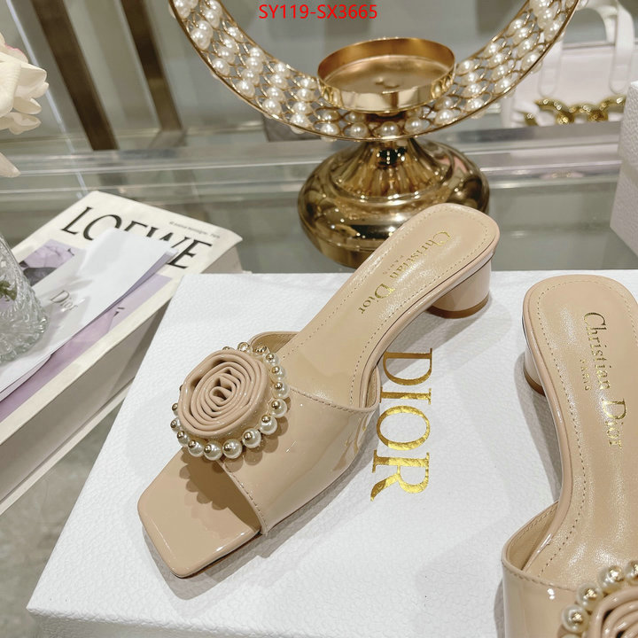 Women Shoes-Dior outlet sale store ID: SX3665 $: 119USD