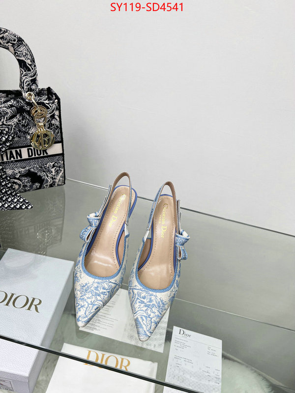 Women Shoes-Dior buy high-quality fake ID: SD4541 $: 119USD