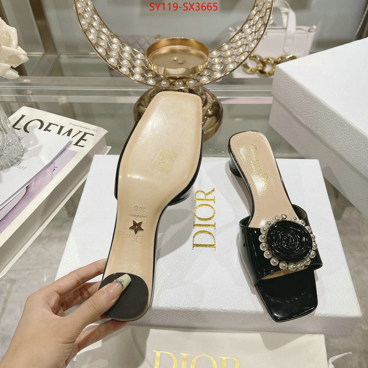 Women Shoes-Dior outlet sale store ID: SX3665 $: 119USD