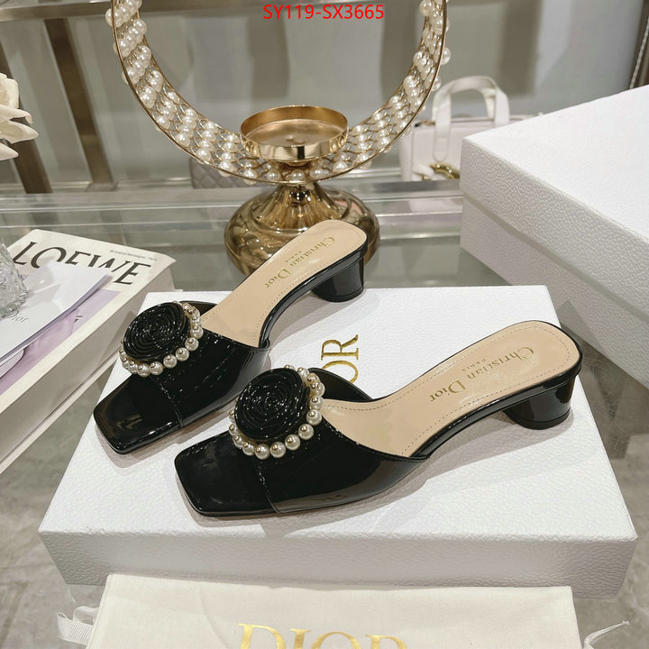 Women Shoes-Dior outlet sale store ID: SX3665 $: 119USD