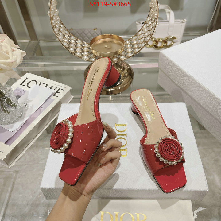 Women Shoes-Dior outlet sale store ID: SX3665 $: 119USD