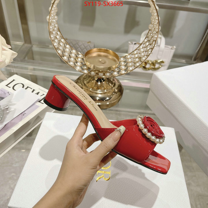 Women Shoes-Dior outlet sale store ID: SX3665 $: 119USD