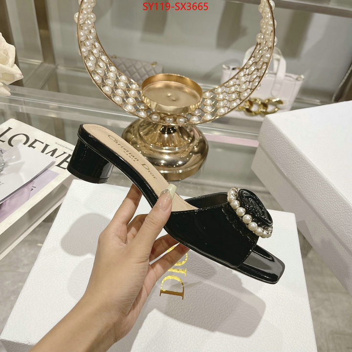 Women Shoes-Dior outlet sale store ID: SX3665 $: 119USD