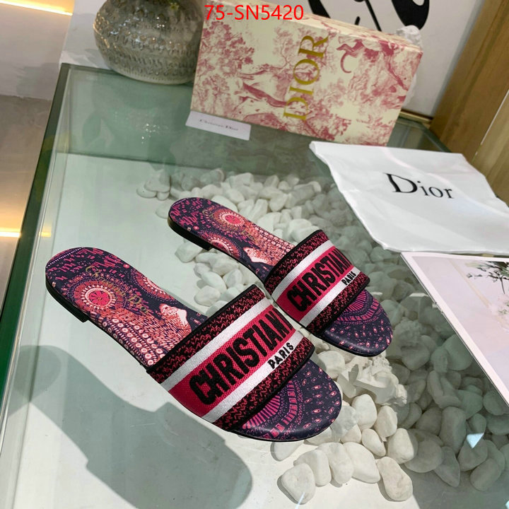 Women Shoes-Dior brand designer replica ID: SN5420 $: 75USD