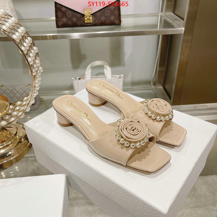 Women Shoes-Dior outlet sale store ID: SX3665 $: 119USD