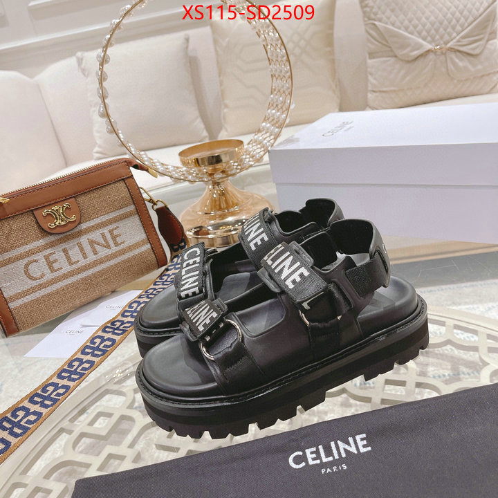 Women Shoes-CELINE replica sale online ID: SD2509 $: 115USD