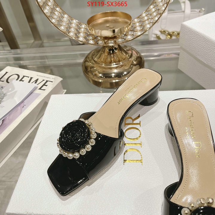 Women Shoes-Dior outlet sale store ID: SX3665 $: 119USD