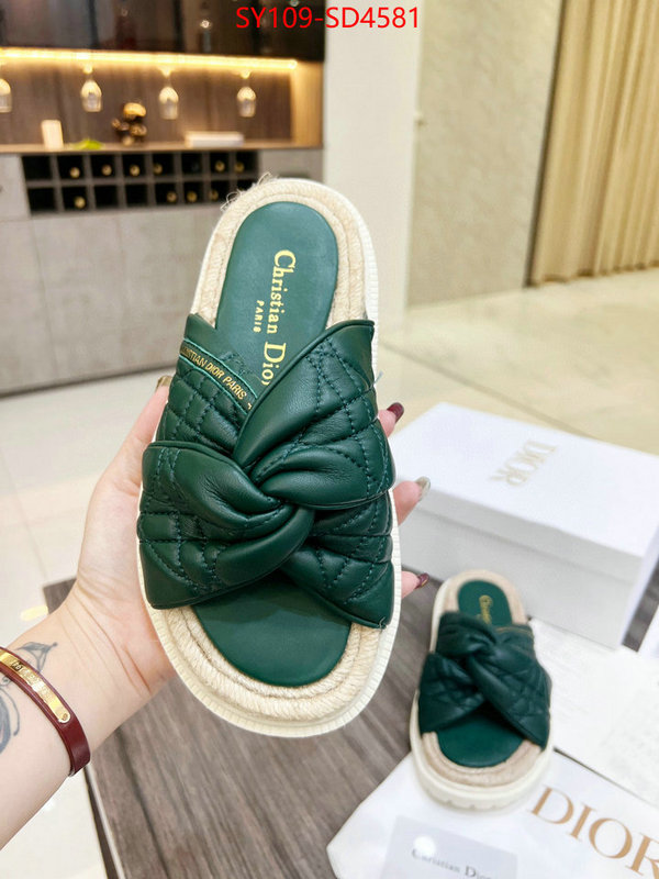 Women Shoes-Dior replicas buy special ID: SD4581 $: 109USD