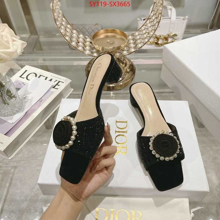 Women Shoes-Dior outlet sale store ID: SX3665 $: 119USD