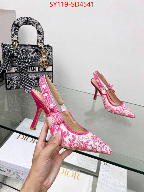 Women Shoes-Dior buy high-quality fake ID: SD4541 $: 119USD