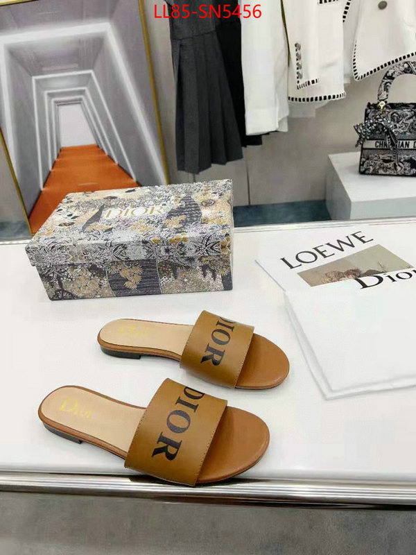 Women Shoes-Dior sale ID: SN5456 $: 85USD