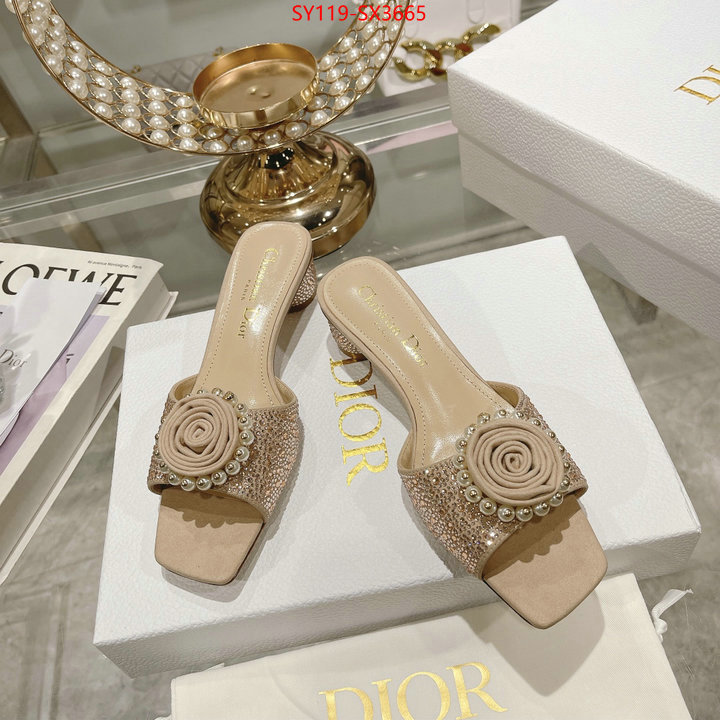 Women Shoes-Dior outlet sale store ID: SX3665 $: 119USD