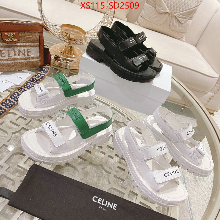 Women Shoes-CELINE replica sale online ID: SD2509 $: 115USD