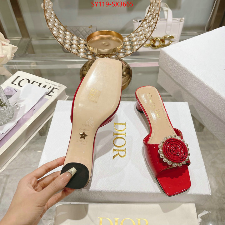 Women Shoes-Dior outlet sale store ID: SX3665 $: 119USD