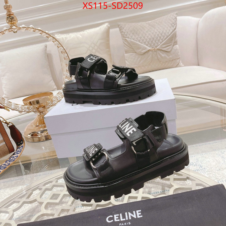 Women Shoes-CELINE replica sale online ID: SD2509 $: 115USD