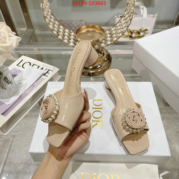 Women Shoes-Dior outlet sale store ID: SX3665 $: 119USD