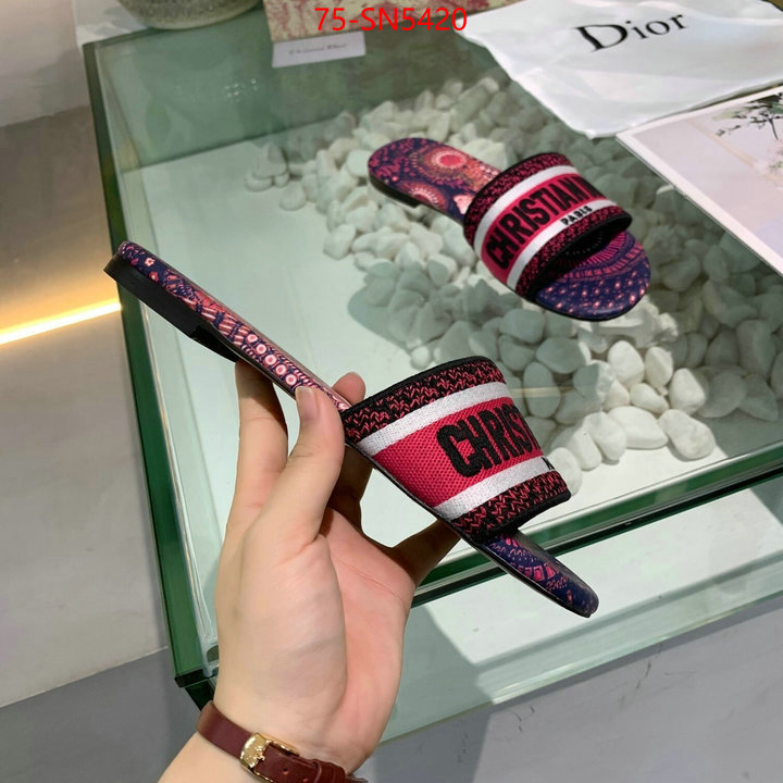 Women Shoes-Dior brand designer replica ID: SN5420 $: 75USD