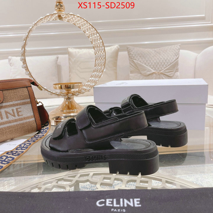 Women Shoes-CELINE replica sale online ID: SD2509 $: 115USD