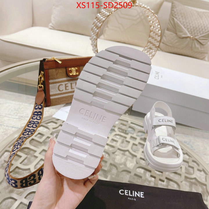 Women Shoes-CELINE replica sale online ID: SD2509 $: 115USD