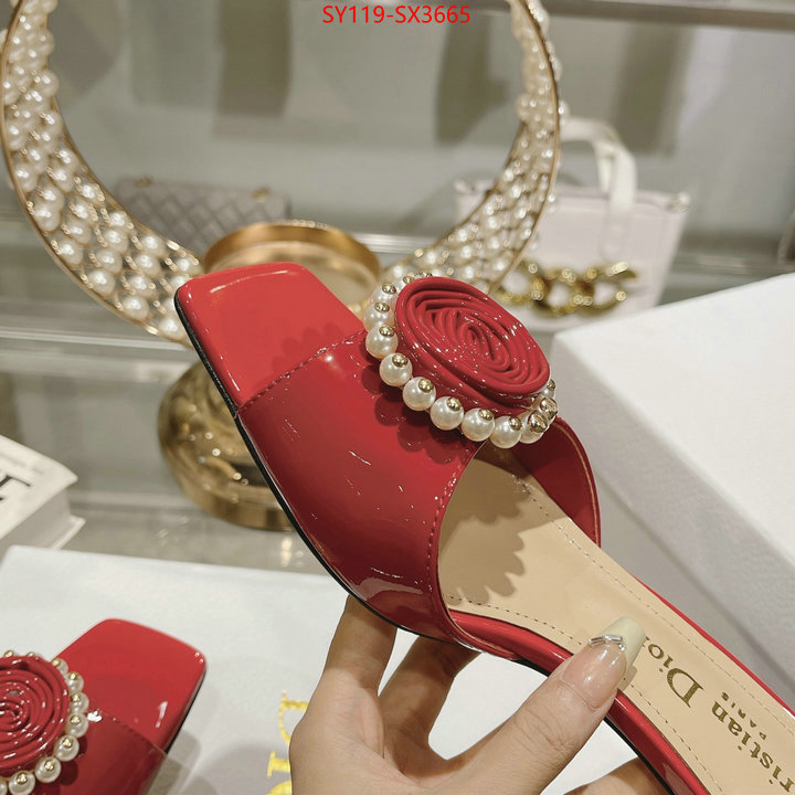 Women Shoes-Dior outlet sale store ID: SX3665 $: 119USD