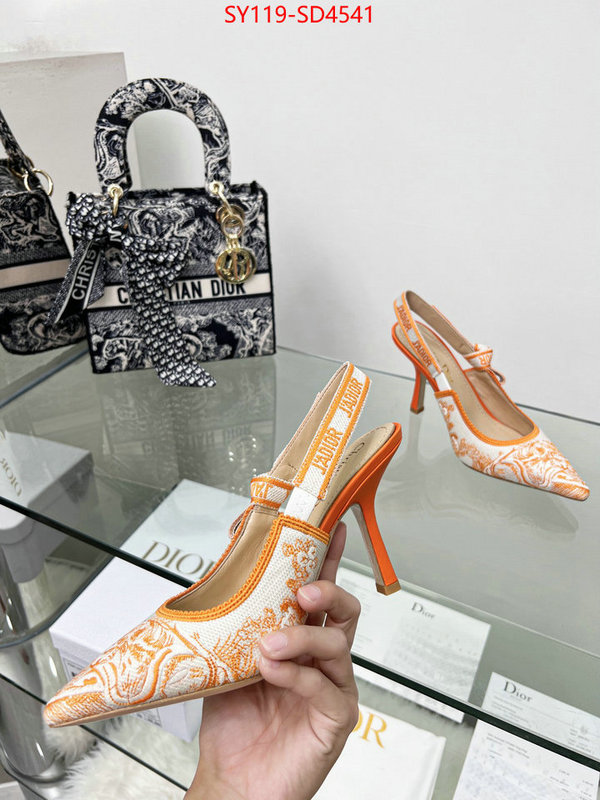 Women Shoes-Dior buy high-quality fake ID: SD4541 $: 119USD