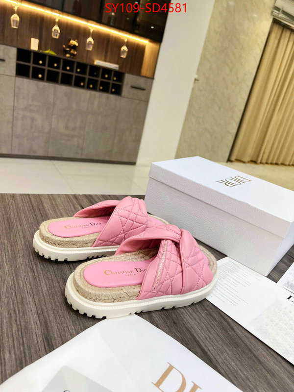 Women Shoes-Dior replicas buy special ID: SD4581 $: 109USD